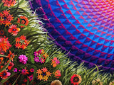Flower Mandala Print by Justin Lovato